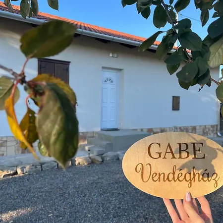Gabe Vendeghaz Gyongyostarjan
